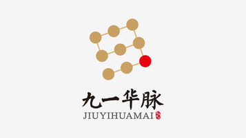 九一華脈綜合品牌LOGO設計