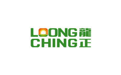 龍正高端logo設計