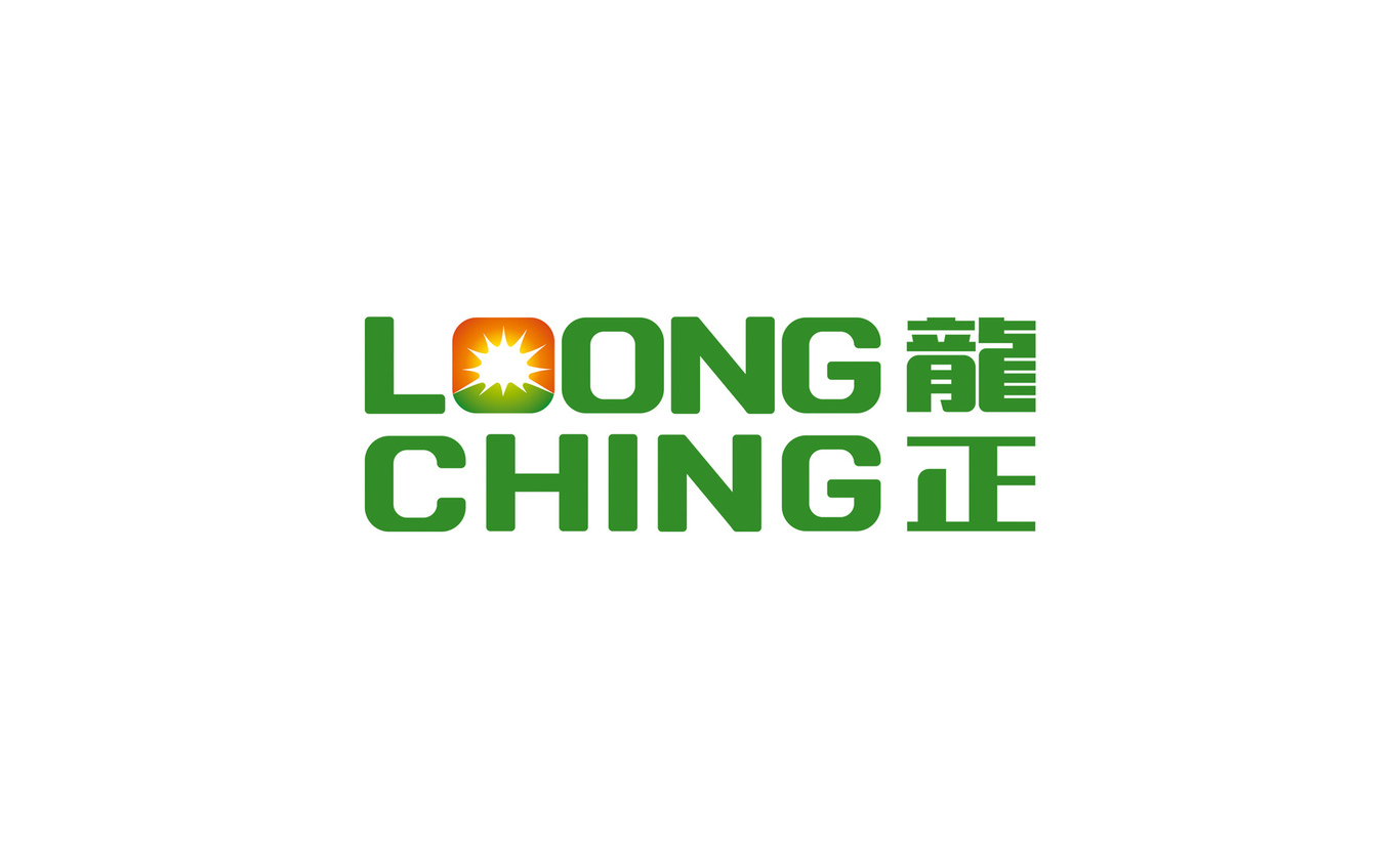 龍正高端logo設計圖0