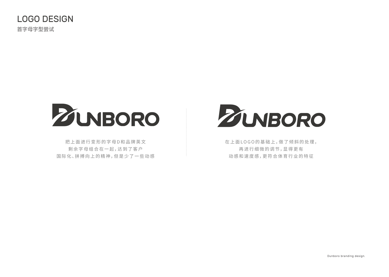 Dunboro运动户外品牌策划及方案设计logo+vis图8