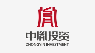 中胤金融品牌LOGO设计