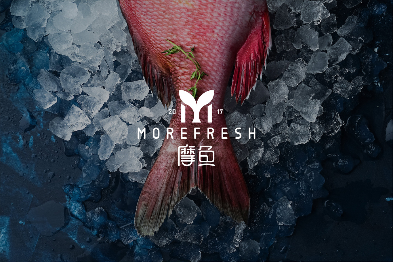 摩魚(yú)| MOREFRESH | LOGO設(shè)計(jì)圖0