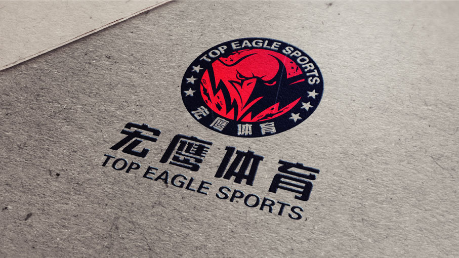 宏鷹體育品牌LOGO設(shè)計(jì)中標(biāo)圖4
