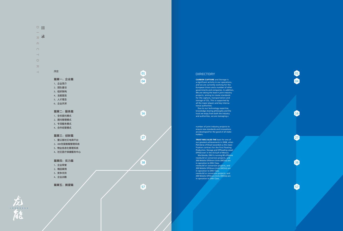 龍能企業(yè)畫冊設計圖2