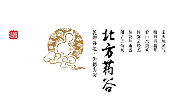 北方藥谷Logo設(shè)計圖10