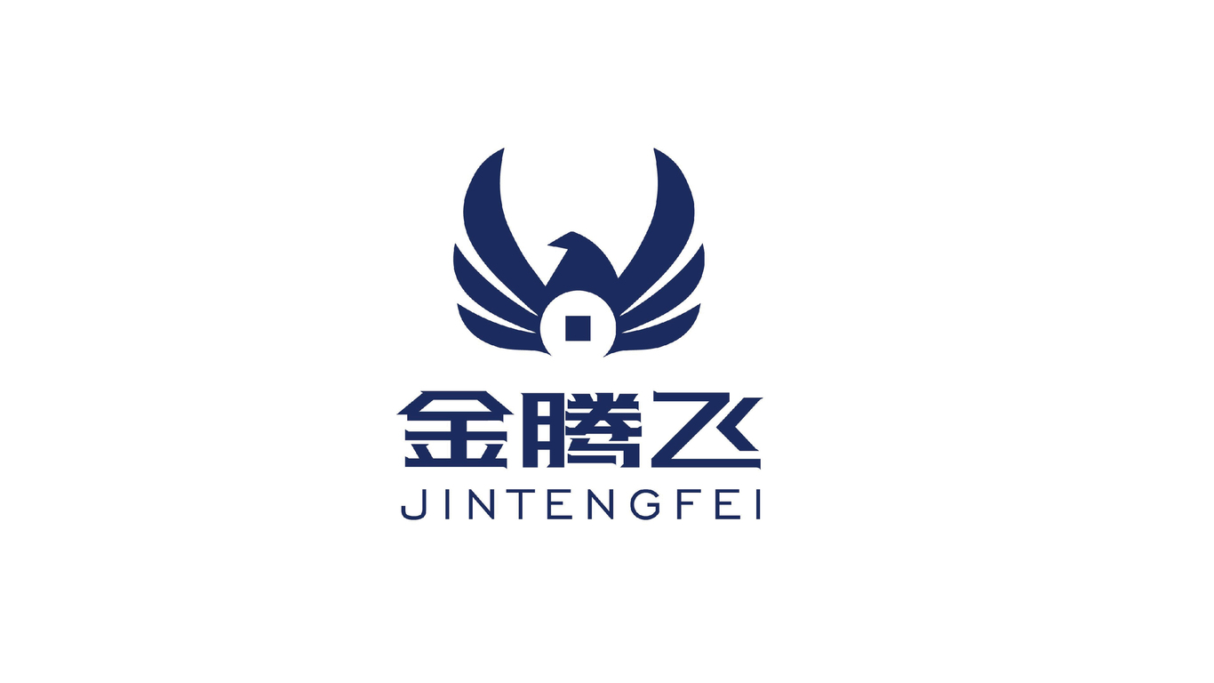 金腾飞创业投资公司    品牌视觉设计图9