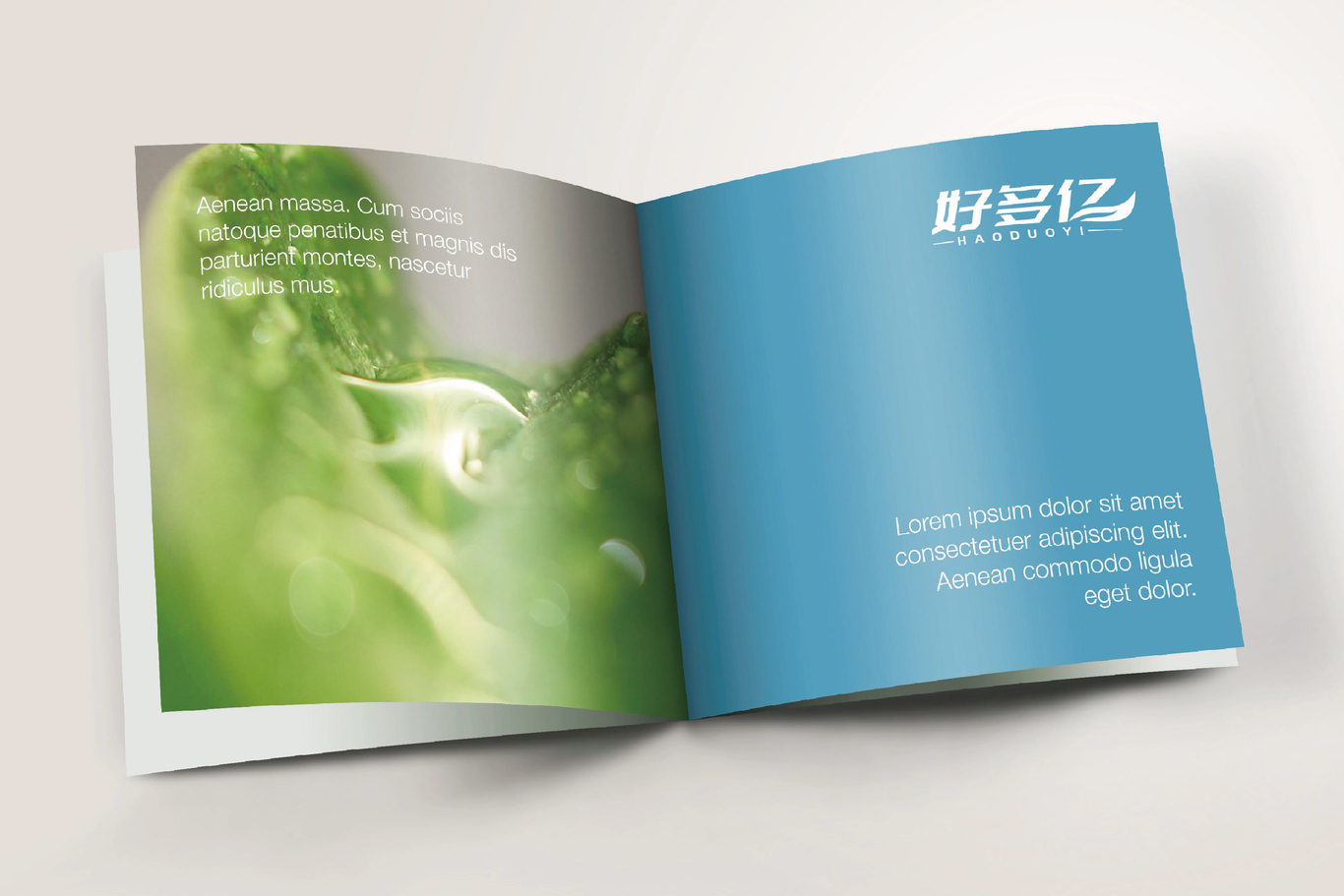 山东好多亿生物科技有限公司 logo设计图11