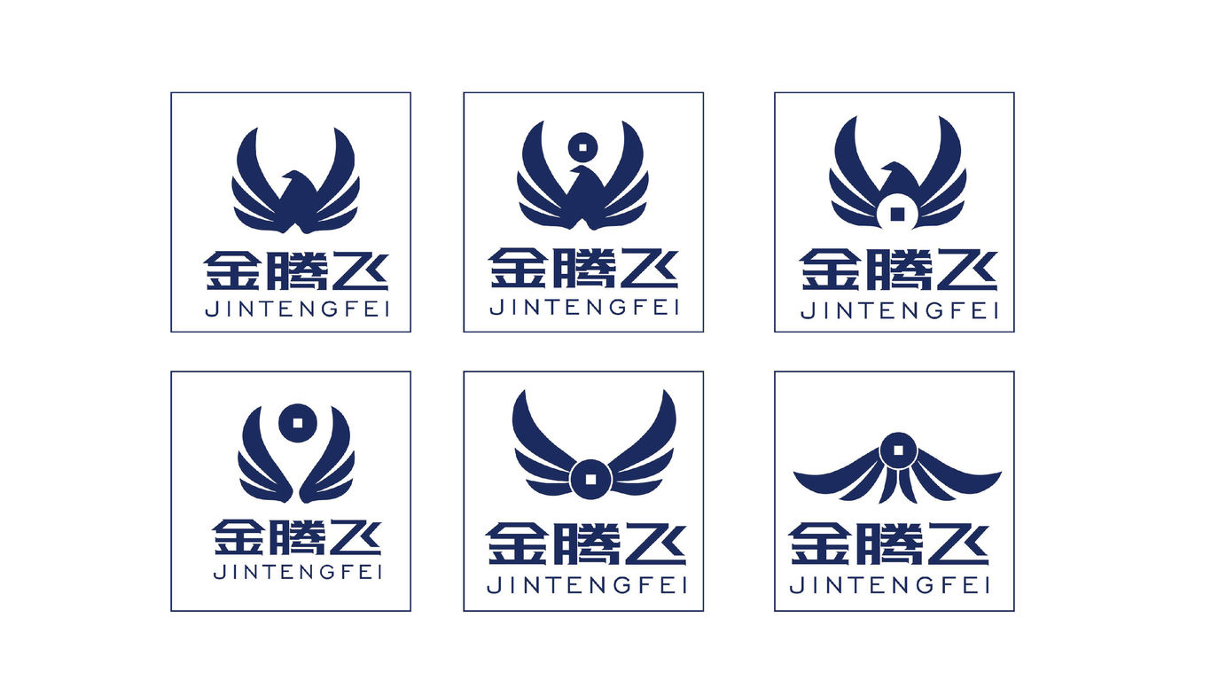 金腾飞创业投资公司    品牌视觉设计图7