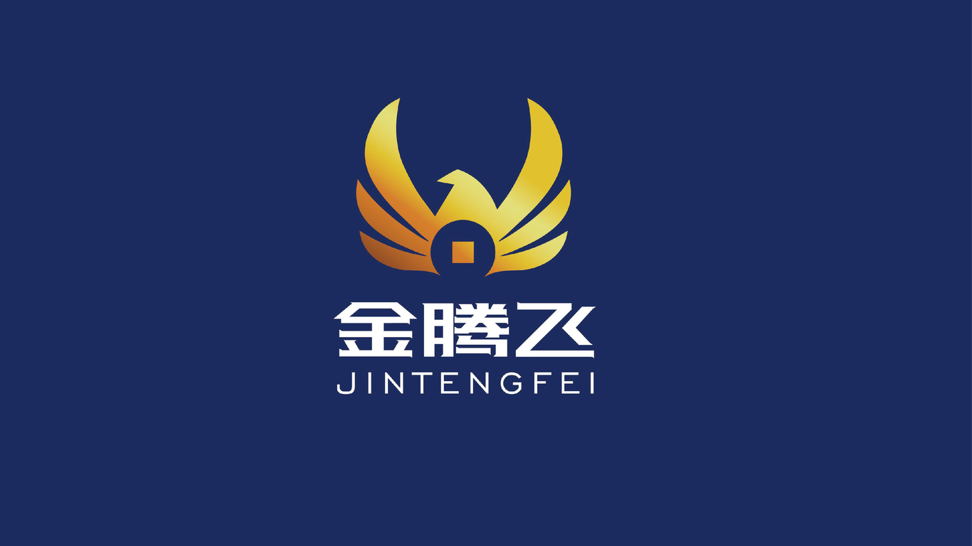 金腾飞创业投资公司    品牌视觉设计图10