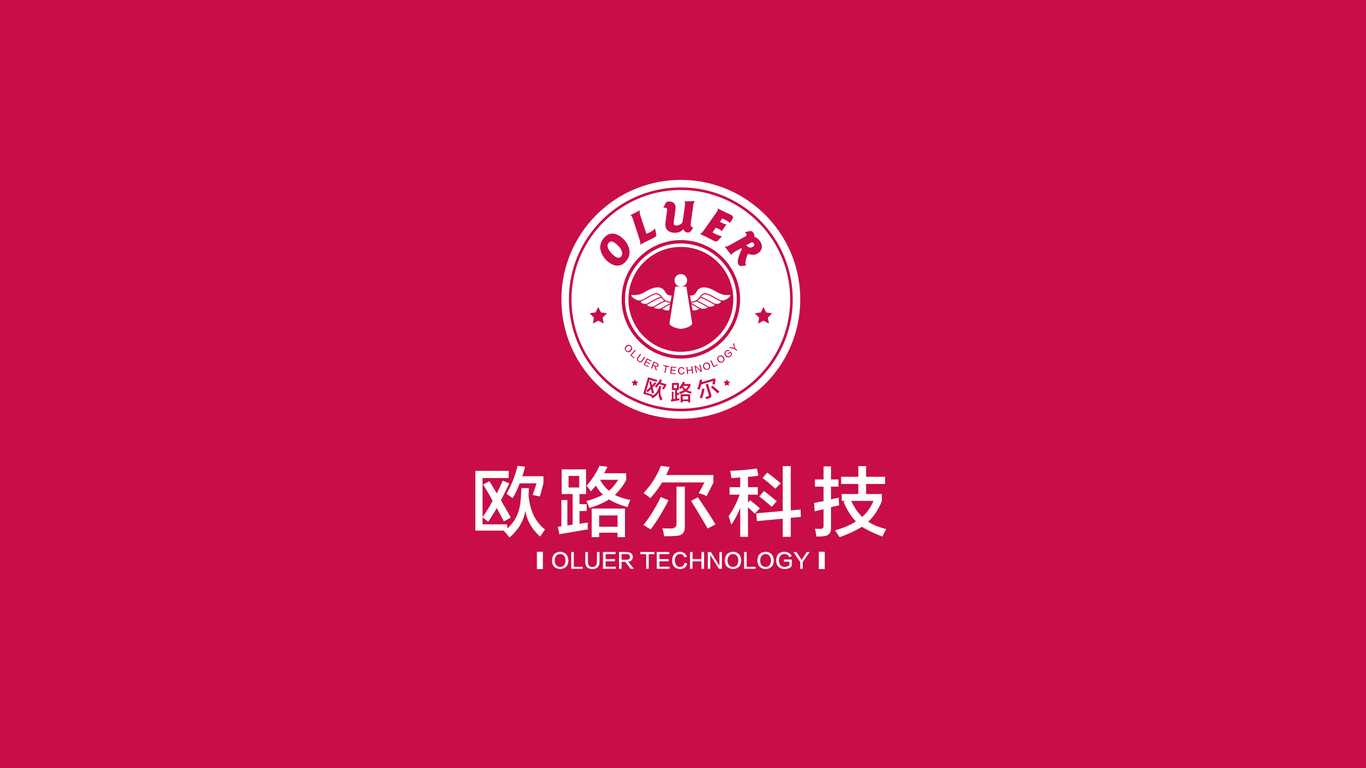 欧路尔LOGO设计中标图5