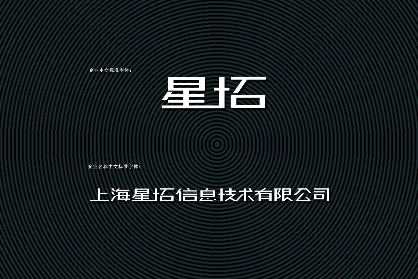 上海星拓信息技術(shù)圖1