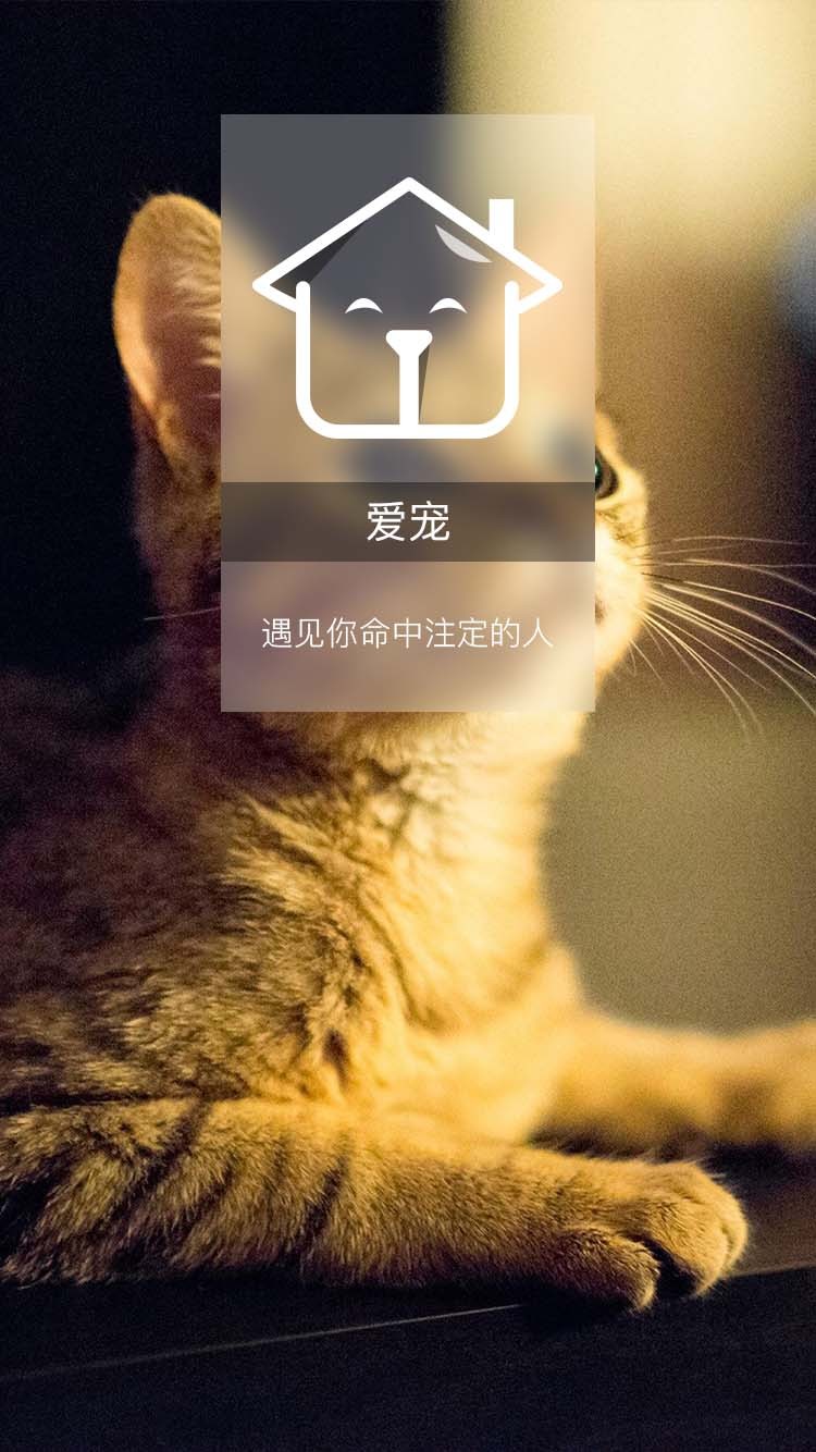 爱宠APP  UI设计图4