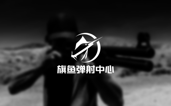 旗鱼弹射中心LOGO设计图4