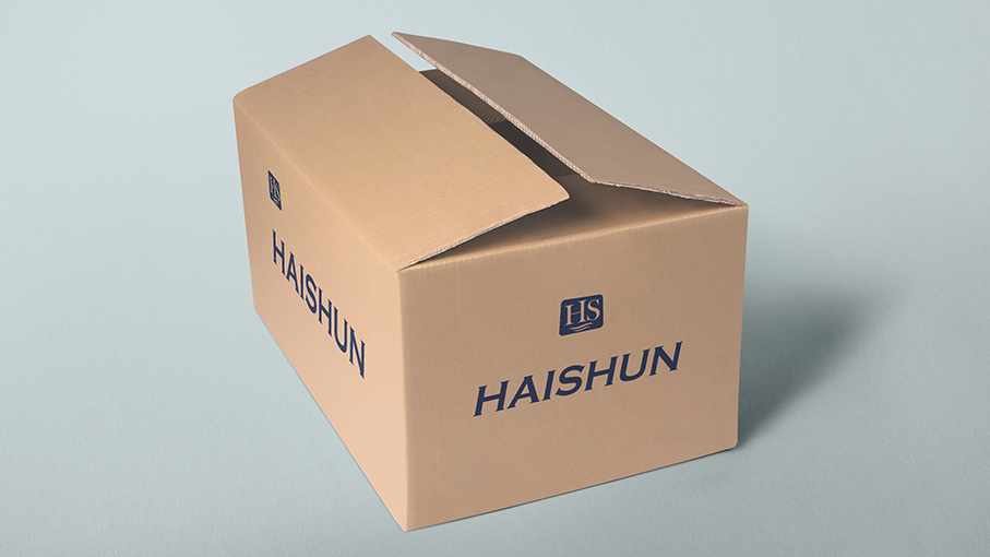 海顺 品牌LOGO设计图2