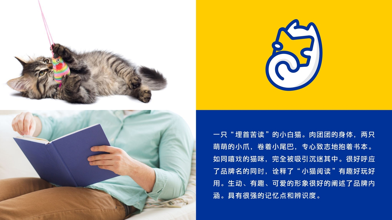 小猫阅读图0