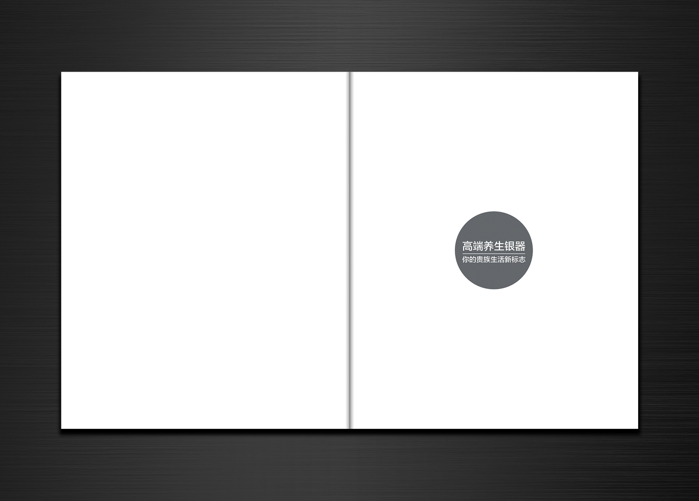 银质奢侈品－推广画册风格稿图0