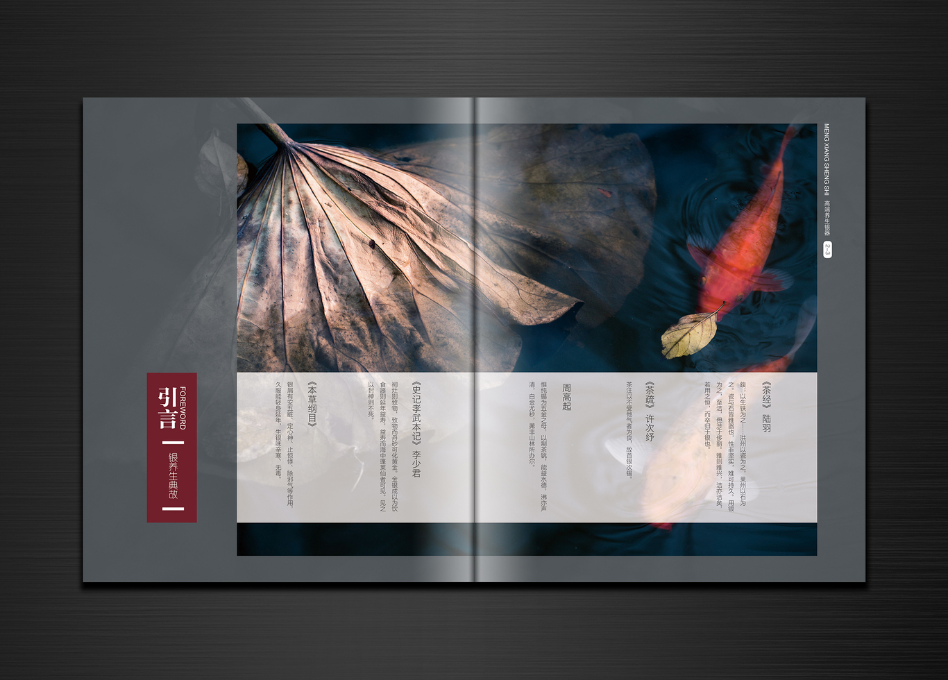 银质奢侈品－推广画册风格稿图1