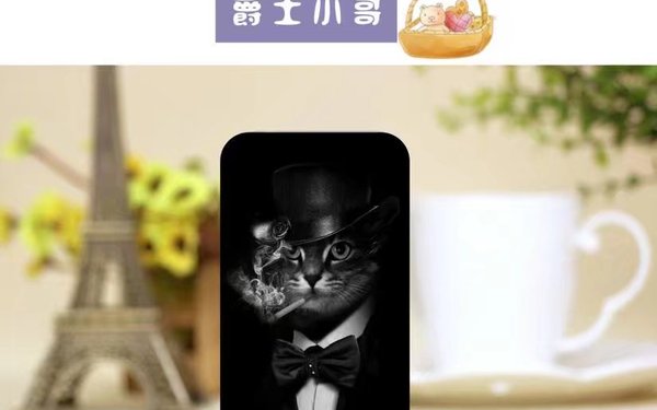 手機殼包裝設(shè)計