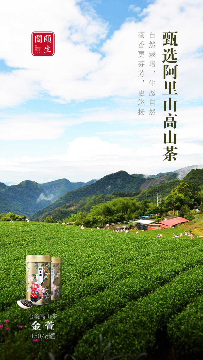 推广茶的微信海报图图55
