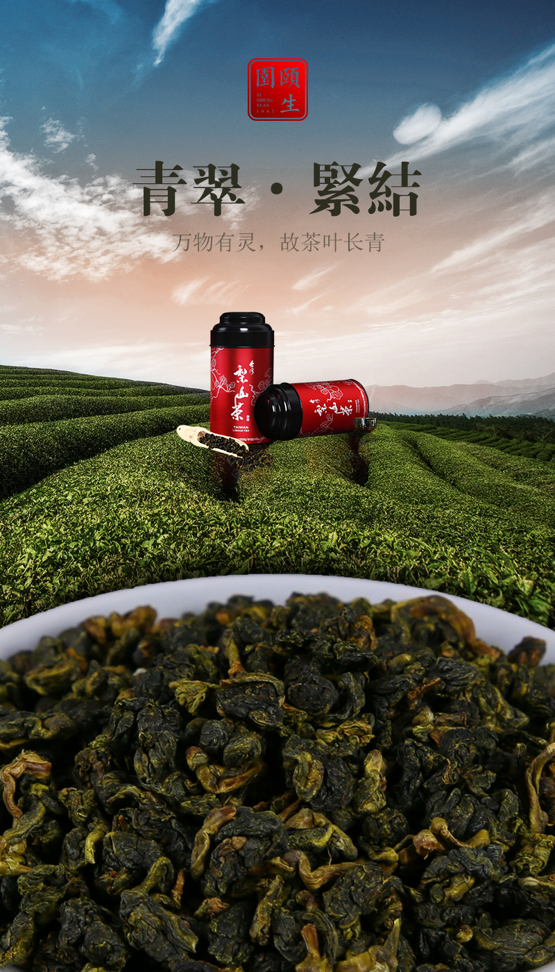推广茶的微信海报图图63