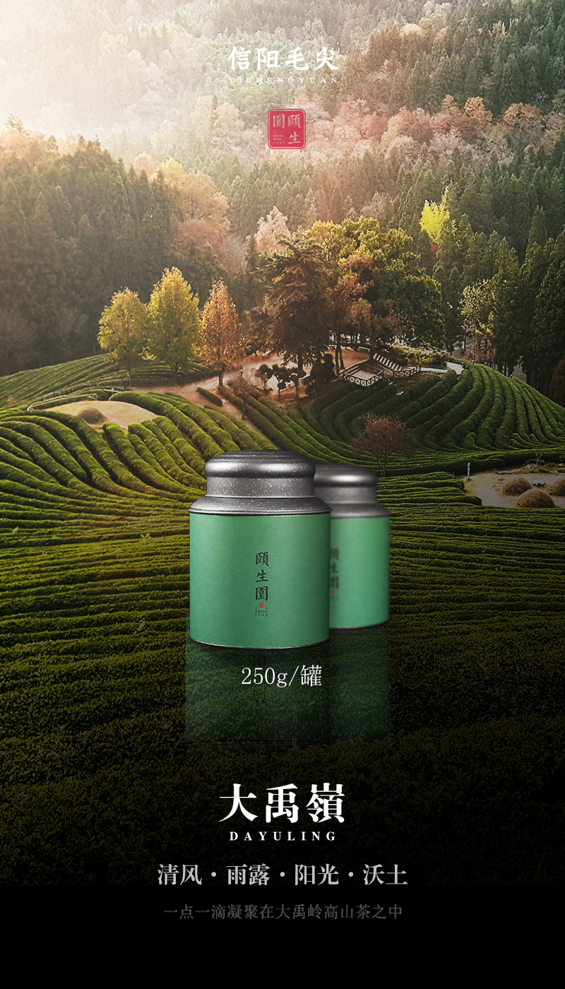 推广茶的微信海报图图10