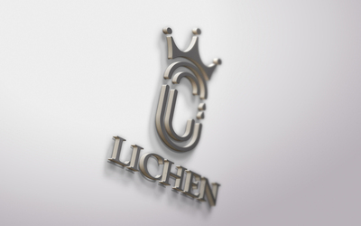 丽宸国际LOGO设计