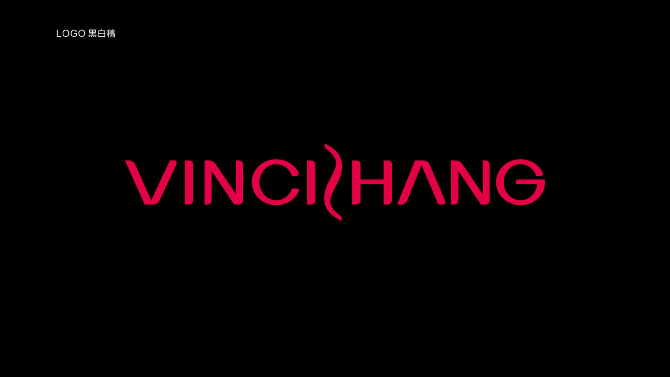 VINCIZHANG图12