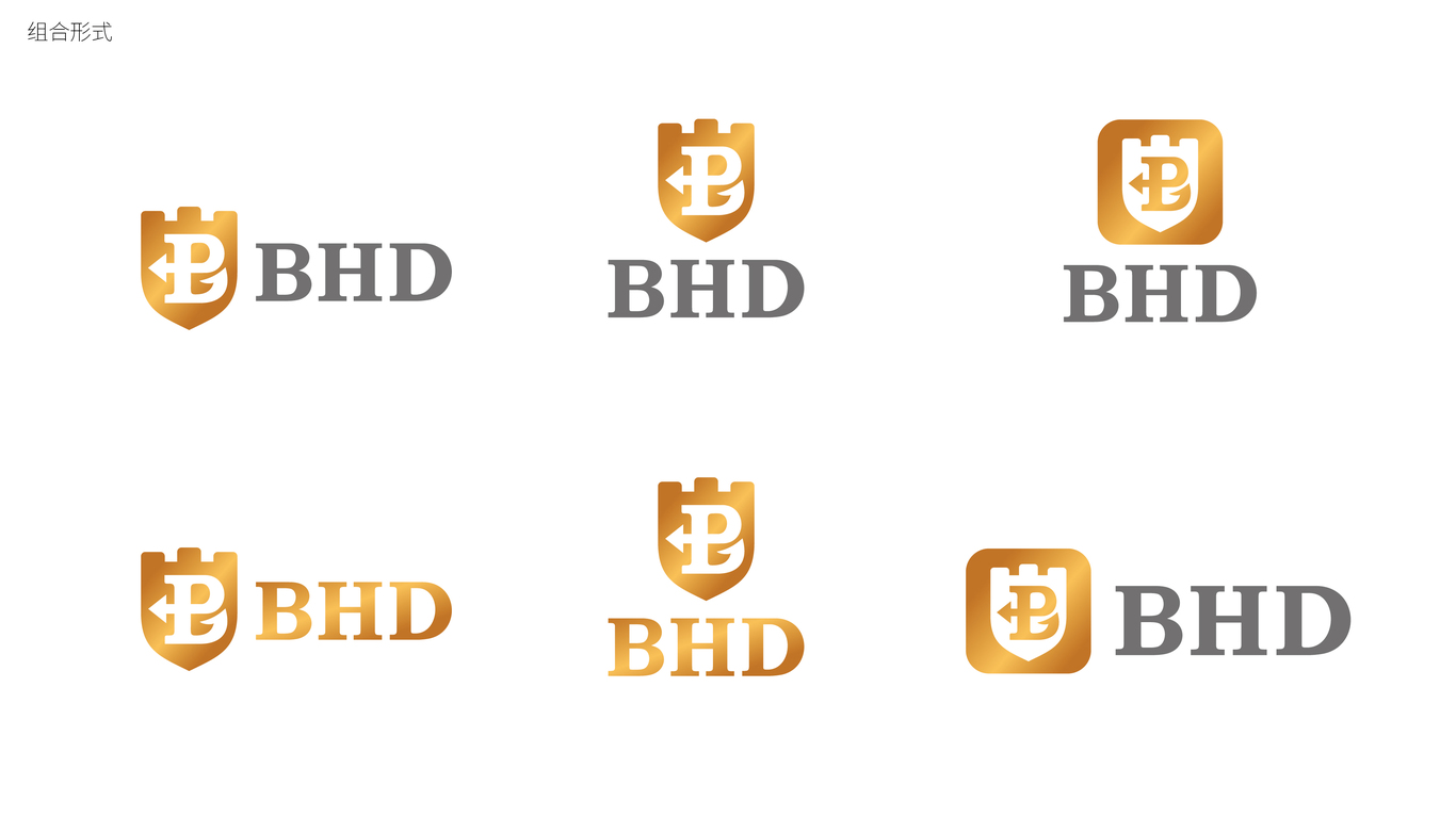 BHDLOGO設(shè)計(jì)中標(biāo)圖2