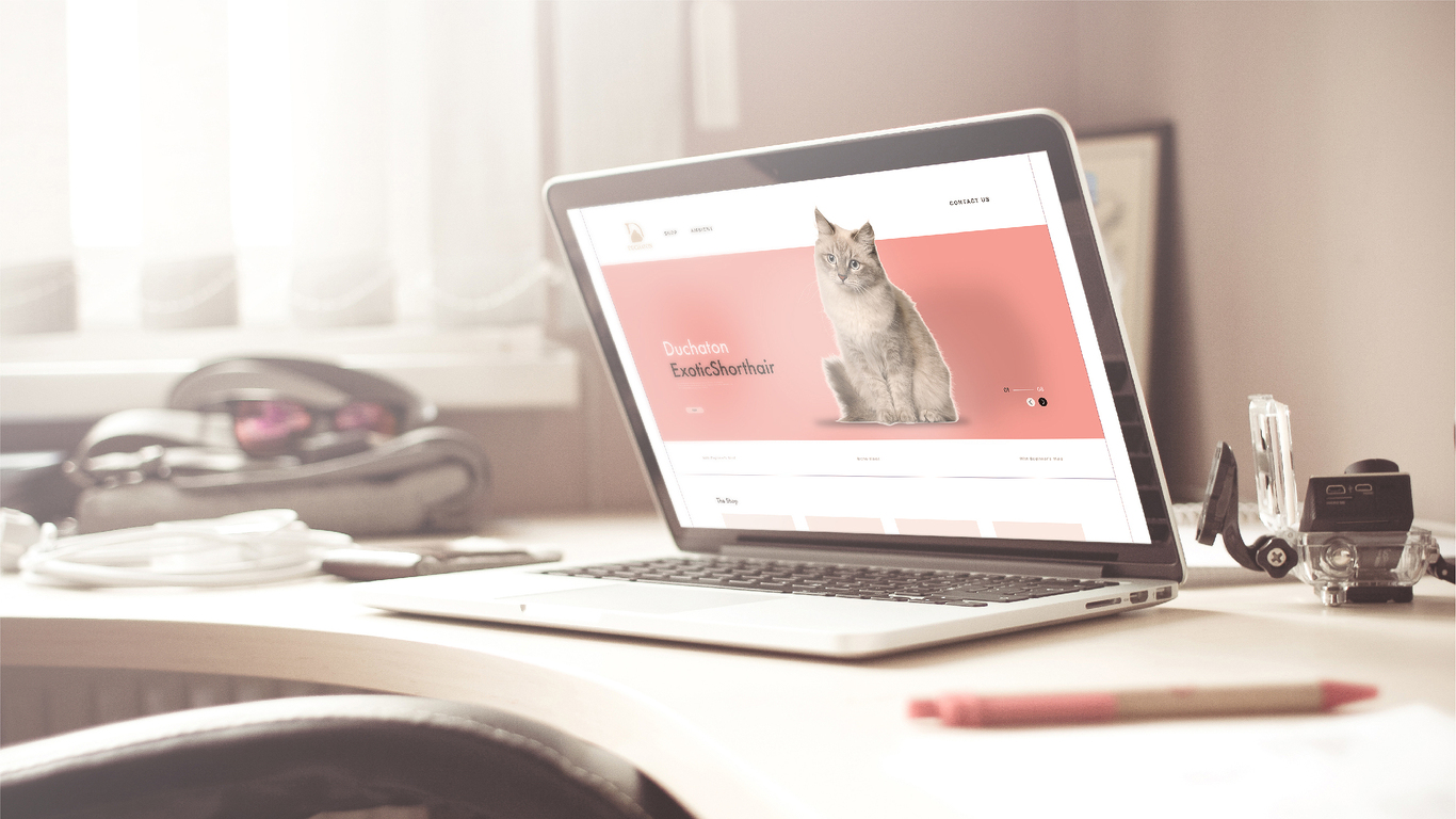Duchaton猫公爵品牌形象+拓展设计图8