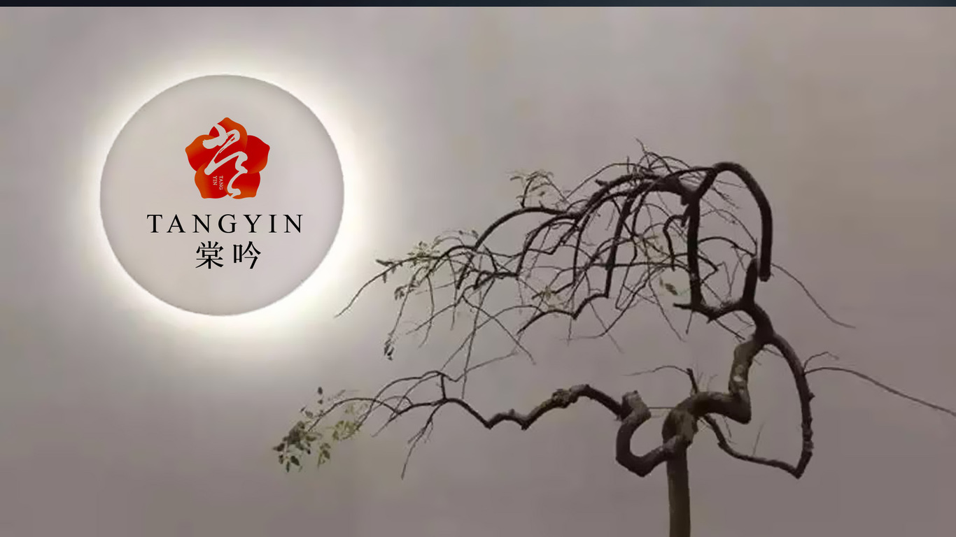 棠吟品牌LOGO设计中标图13