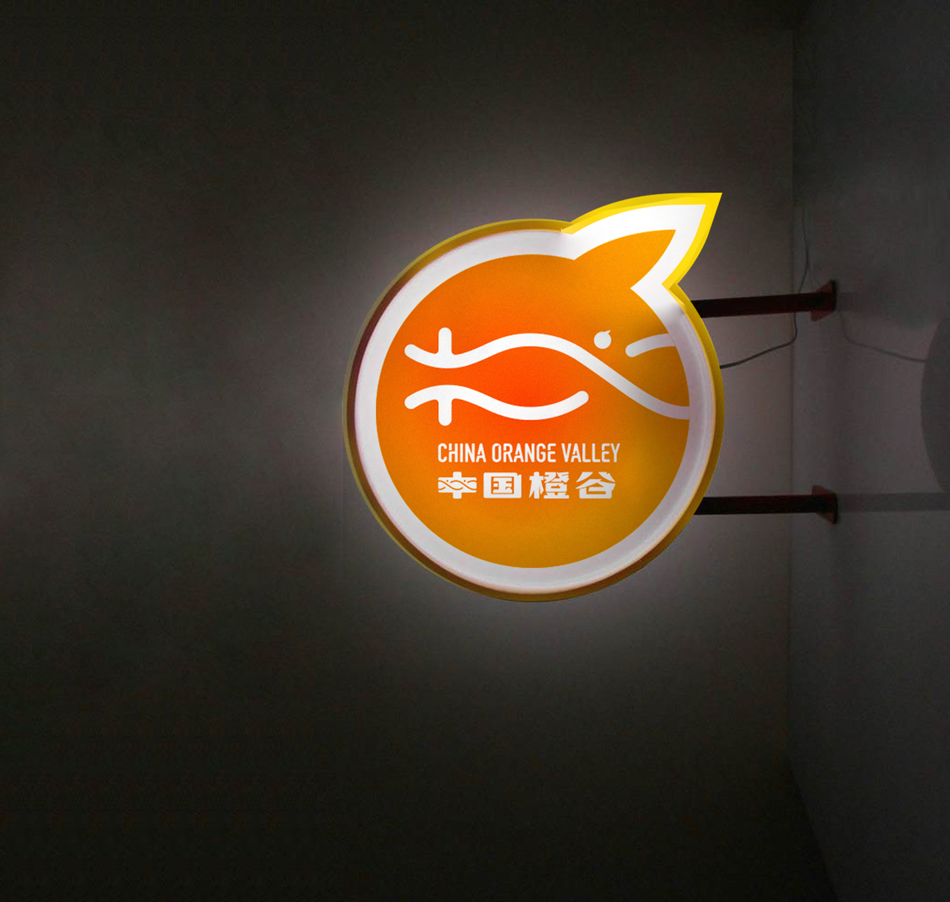 中國橙谷標志VI設計圖3