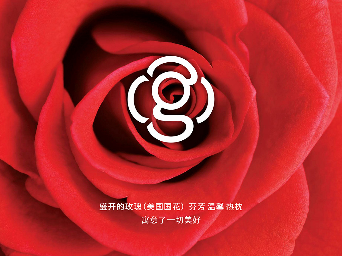 小绿妈图1
