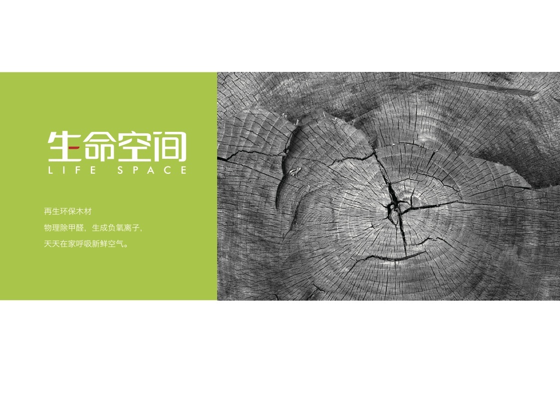 公司新产品包装字标图4