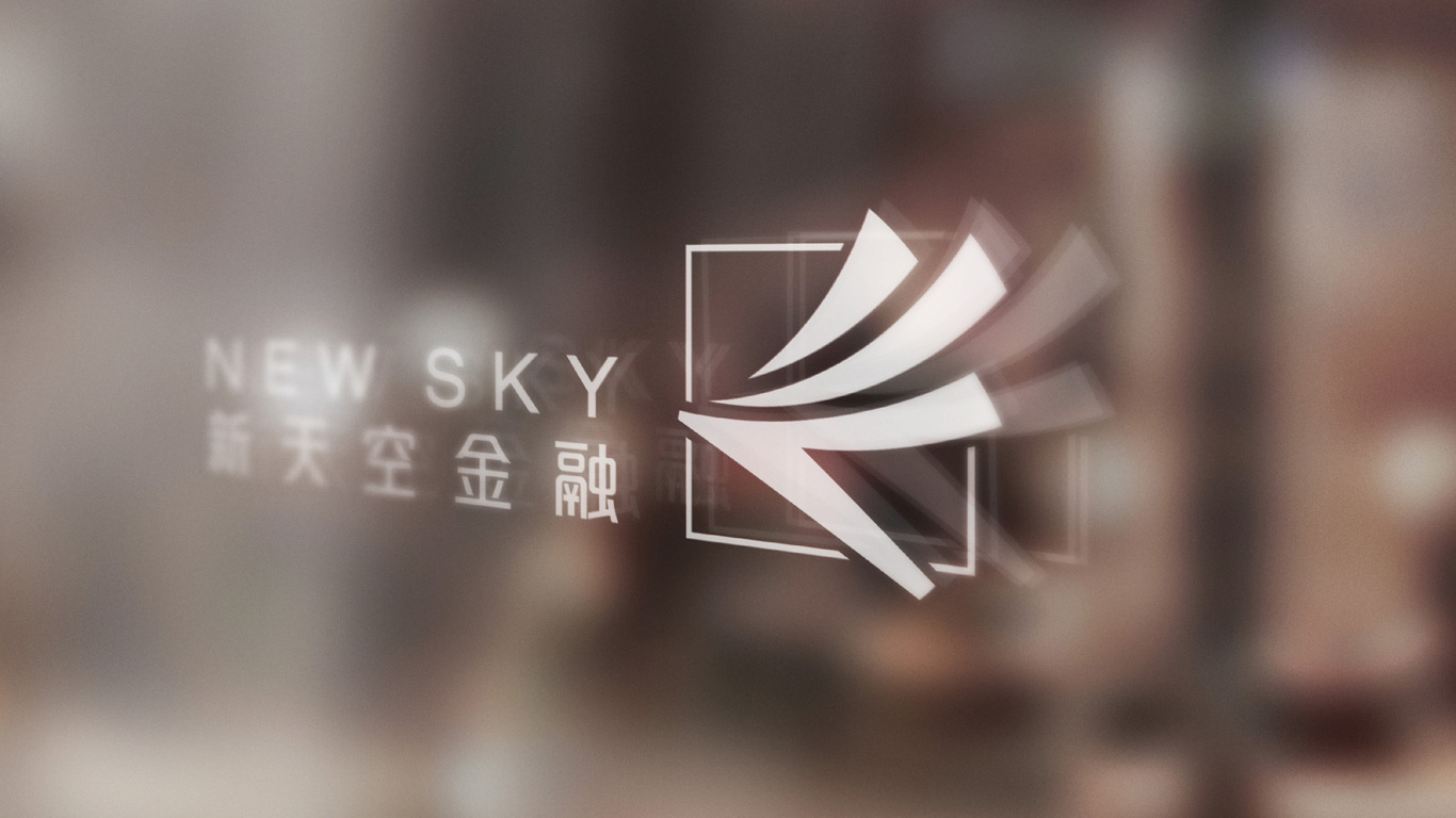 NewSky（新天空金融）_logo形象設(shè)計圖13