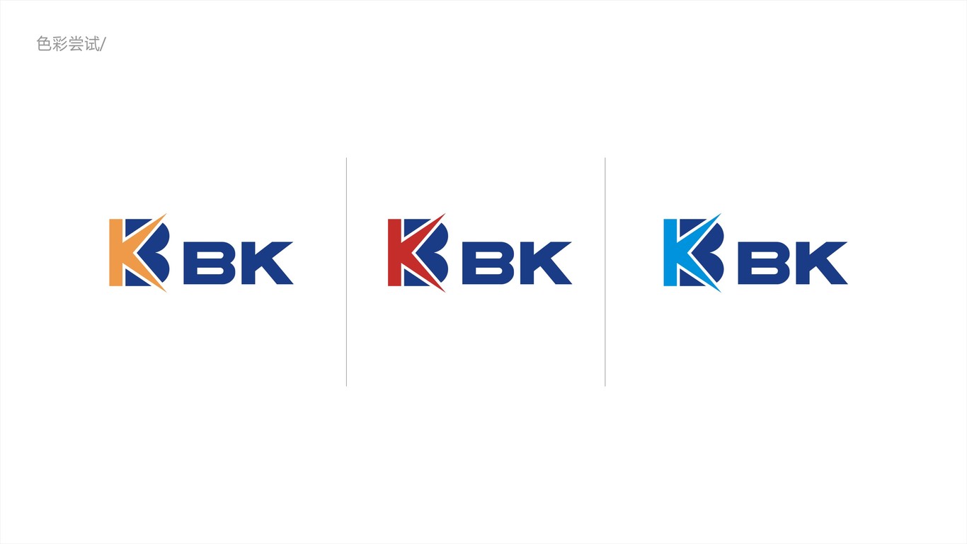 bkLOGO设计中标图3