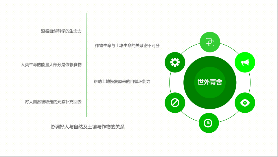 世外青舍图12