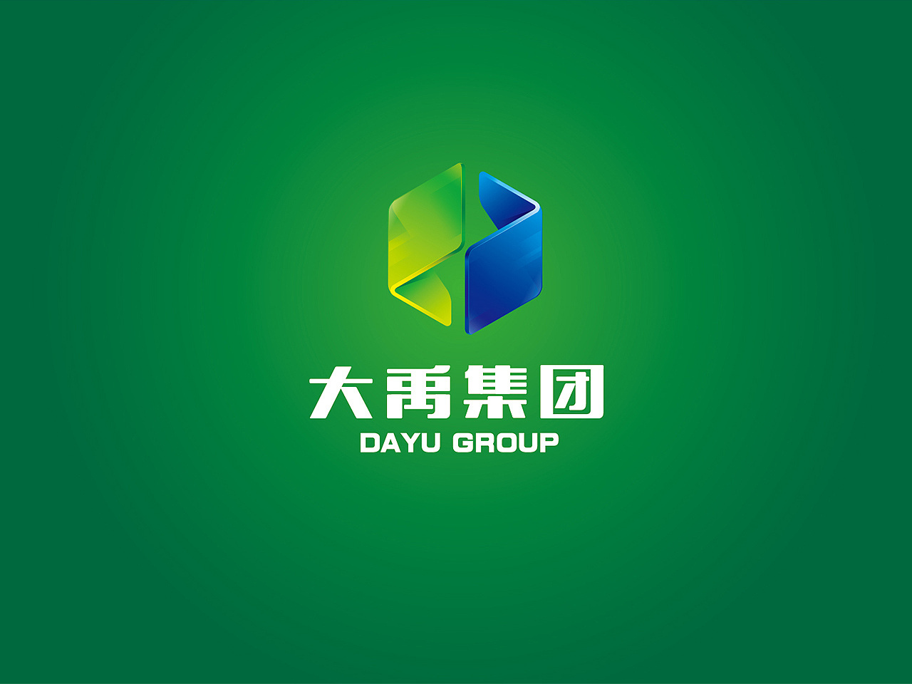 大禹地产集团图3