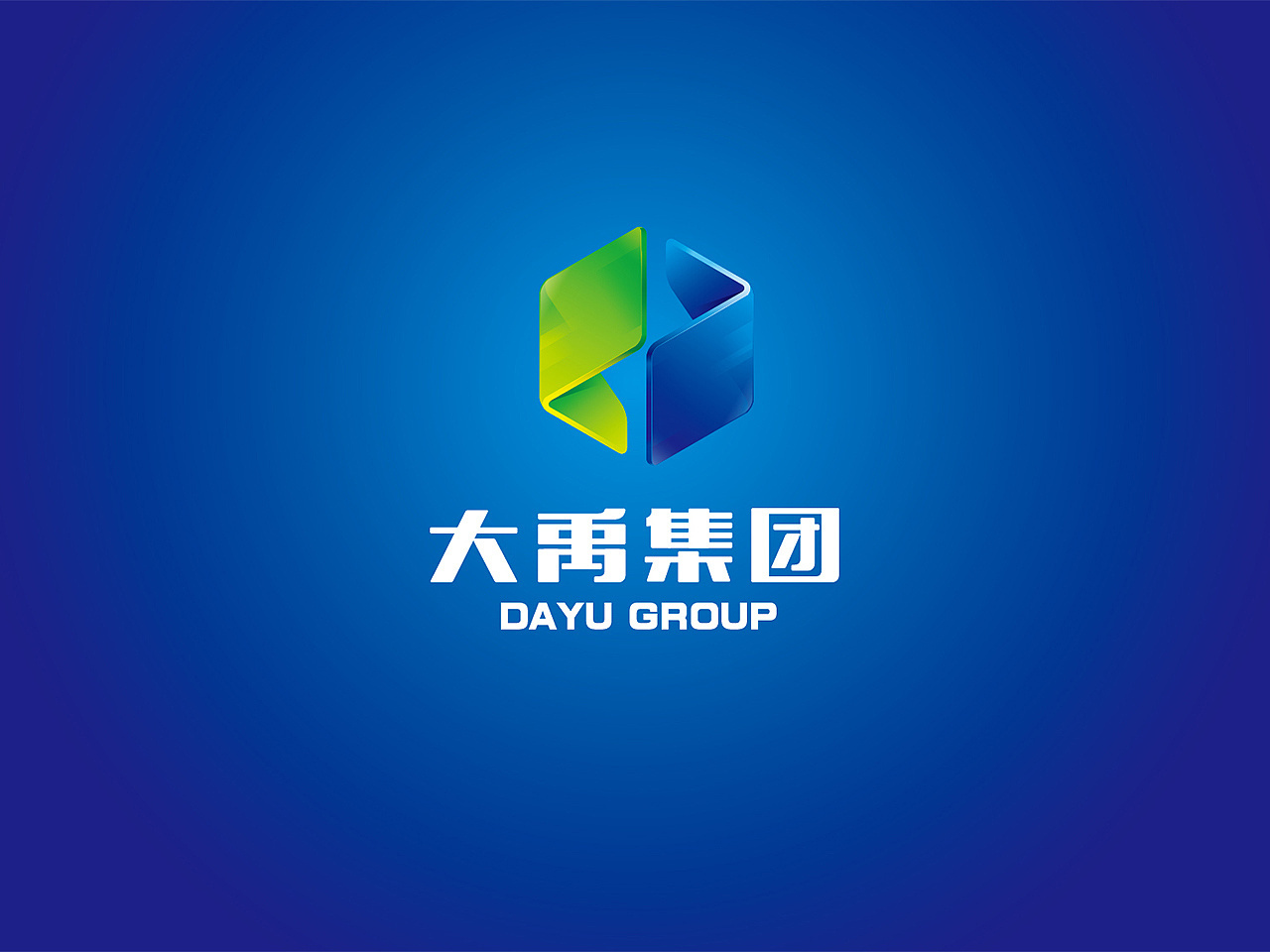 大禹地产集团图2