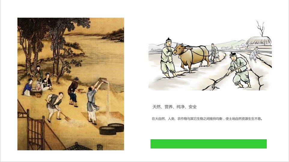 世外青舍图20