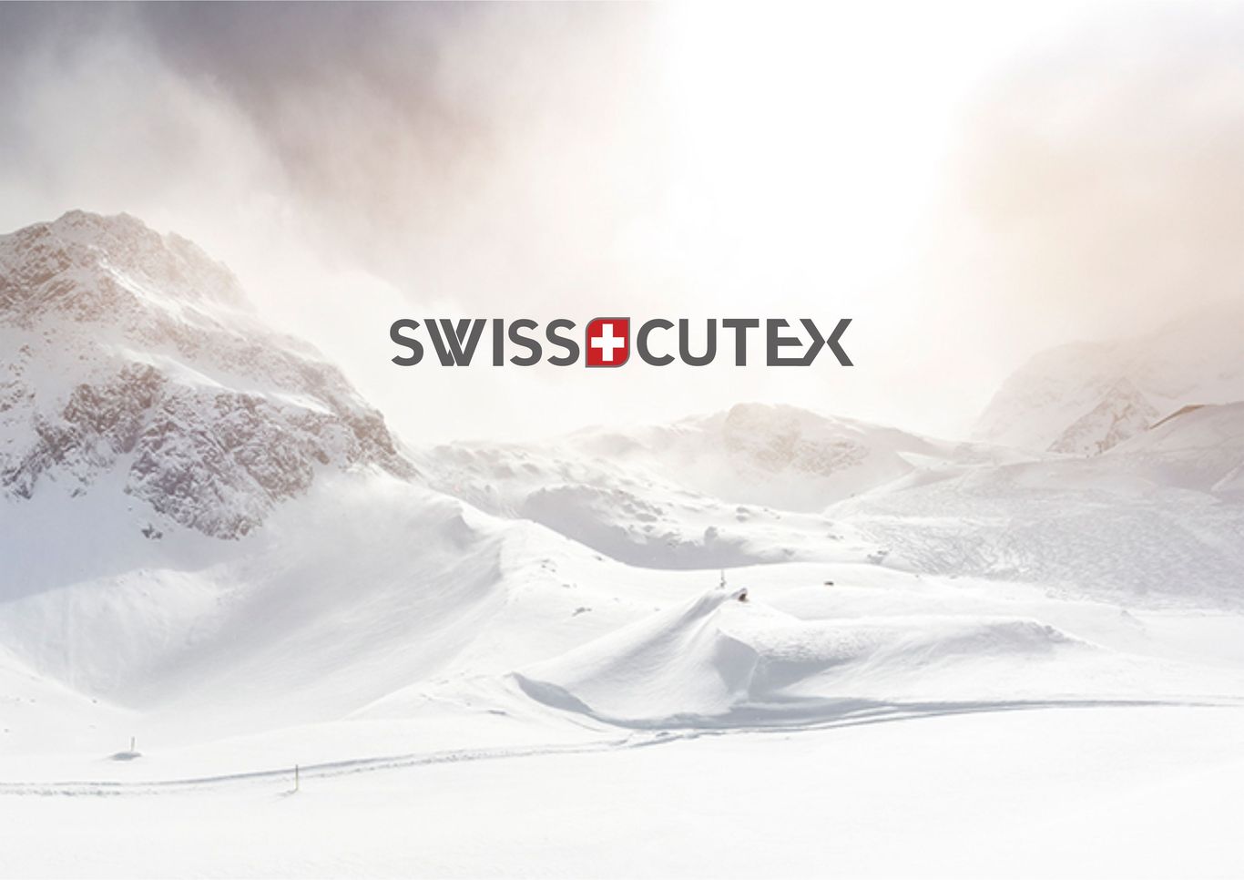 SWISS+CUTEX滑雪手套圖0