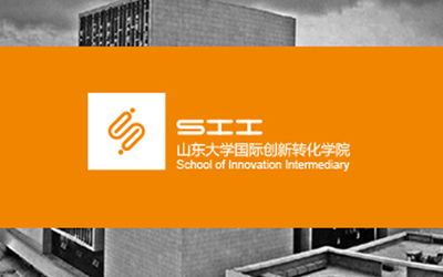 山东大学国际创新转化学院