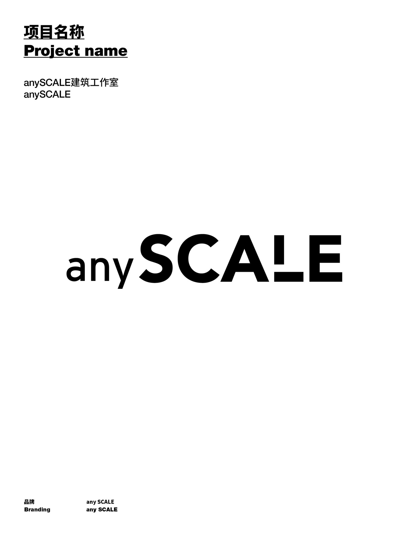 anySCALE圖0