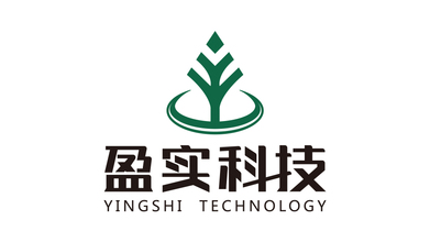 盈实科技LOGO设计