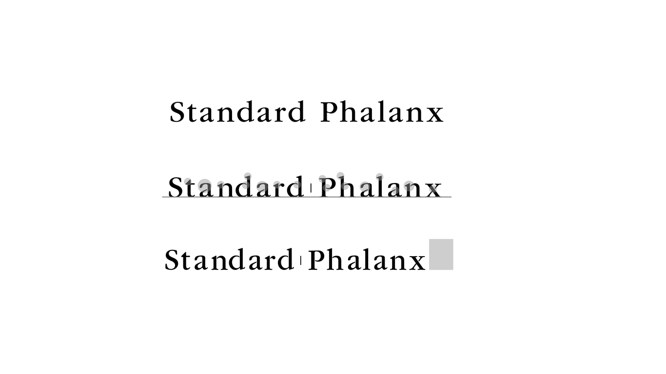 standard-phalax圖10