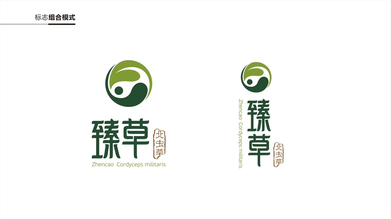 臻草LOGO設(shè)計(jì)中標(biāo)圖6