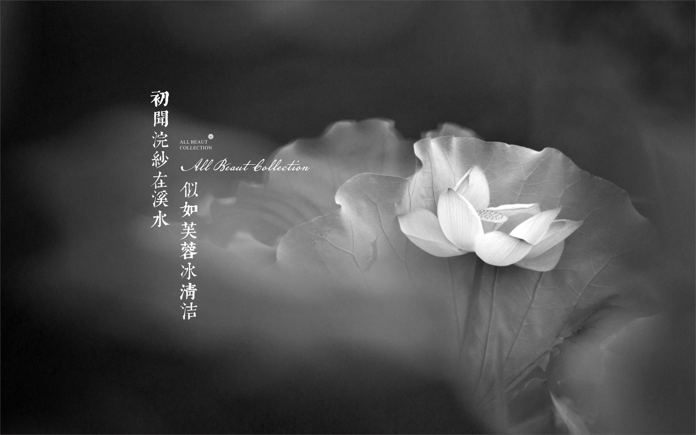 善美雅集LOGO推导图3