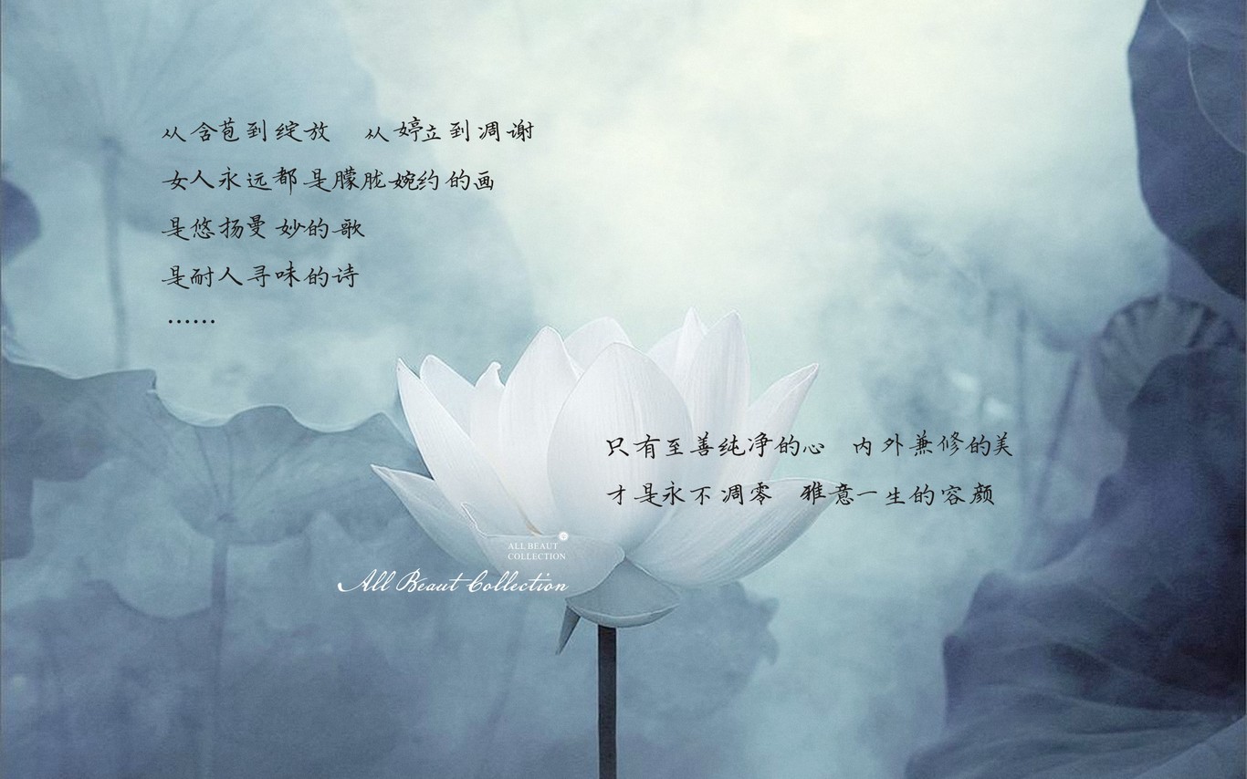 善美雅集LOGO推导图5