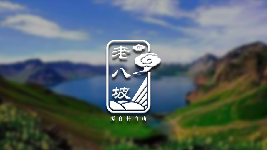 老八坡LOGO設(shè)計(jì)中標(biāo)圖2