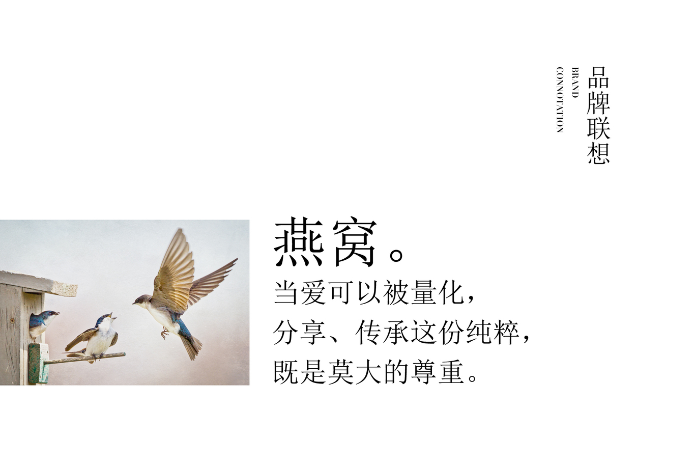北京瀞燕堂燕窝图8