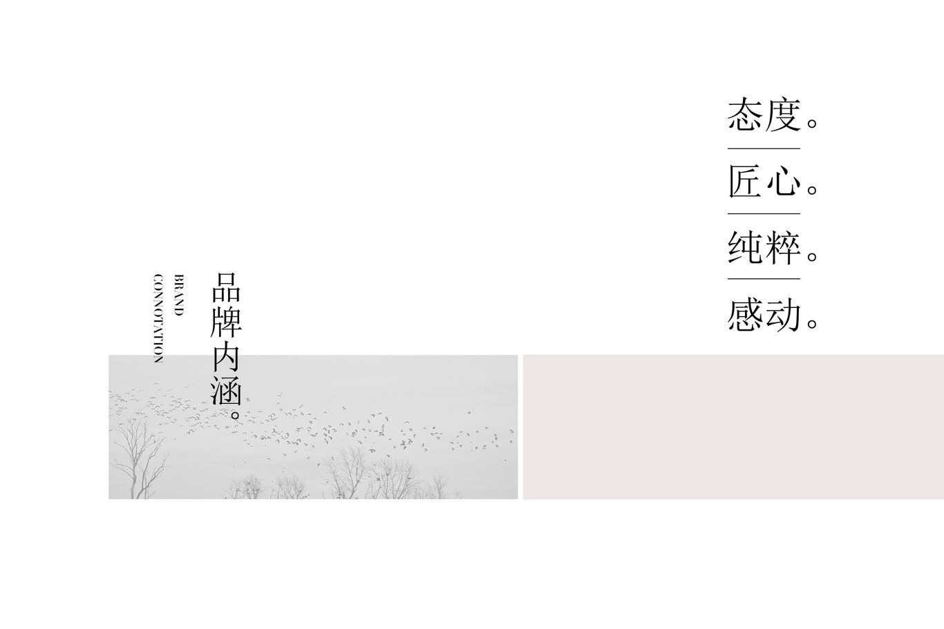 北京瀞燕堂燕窝图6